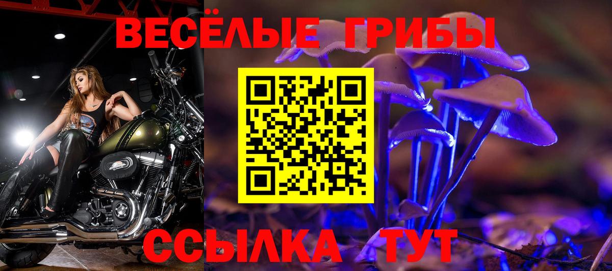 Конаково  Галлюциногенные грибы мицелий  Вход с VPN  Галлюциногенные грибы Psilocybe 